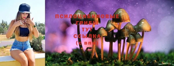 метадон Алексеевка