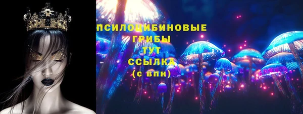 бошки Алексин