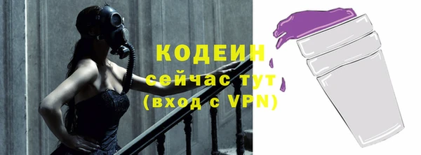 дживик Вязьма